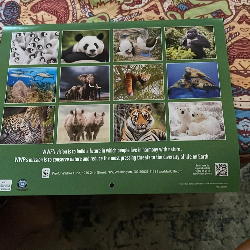 Red Panda 2026 Calendar